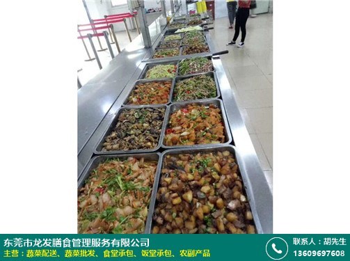 茶山中學(xué)食堂承包資質(zhì)工廠*_龍發(fā)膳食